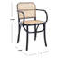 Fauteuil avec accoudoirs Sarianna-2061762015