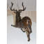 Atia Deer Bronze Statue -  Size: 12"L x 5"W x 10.5"H.