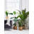 67'' Faux Palm Tree in Pot