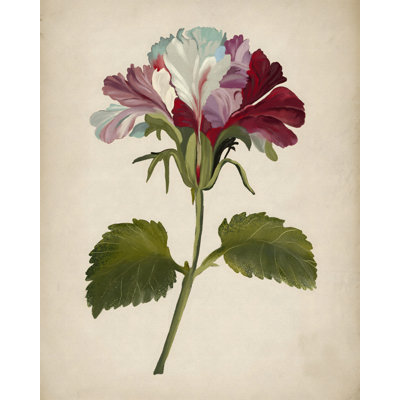 Vibrant Geranium Bloom by Josie George — Botanical Wall Art