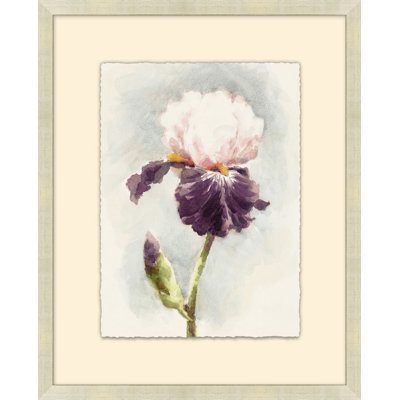 Purple Iris 1 Print