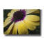 Toile épique Graffiti «Droplet Of The Flower 2» par Life BeautifuLEE, 26 po x 18 po-1275951463