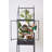 Botanist 74.75'' H x 21.25'' W Iron Display Case