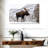 Snowy Moose-107473032