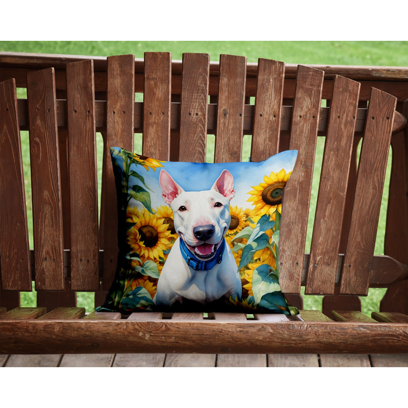 Other/No Pattern Outdoor Throw Pillow, 14" H x 14" W