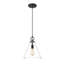 Luminaire suspendu 1 lumière Pays de Galles-239827380-239827387