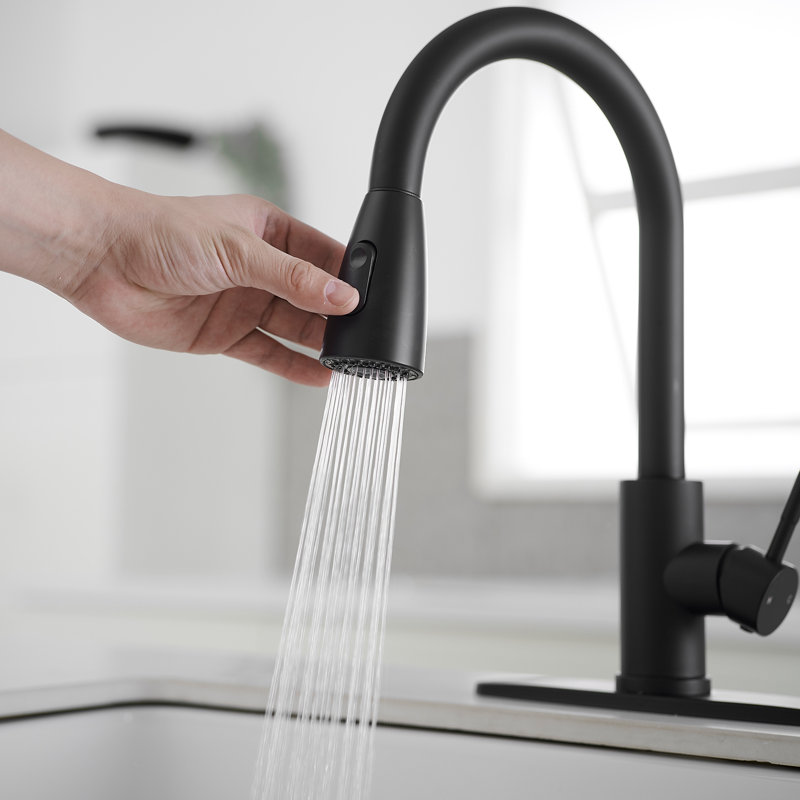 VIBRANTBATH Pull Out Kitchen Faucet, Matte Black
