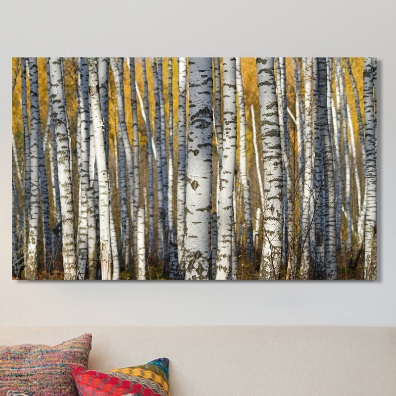 « bouleau trees », reproduction de photo sur toile tendue, H 28 po x l 48 po x P 1,5 po
