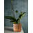 Gaylor Wood Cachepot-2027825058