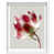 White Shadowbox