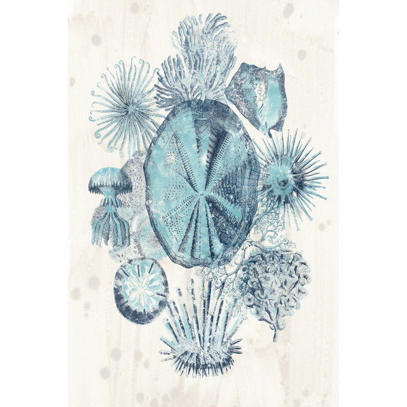 Coastal Melange IV by June Erica Vess - Wrapped Canvas Art Prints, 46cm H x 30cm W x 3.8cm D