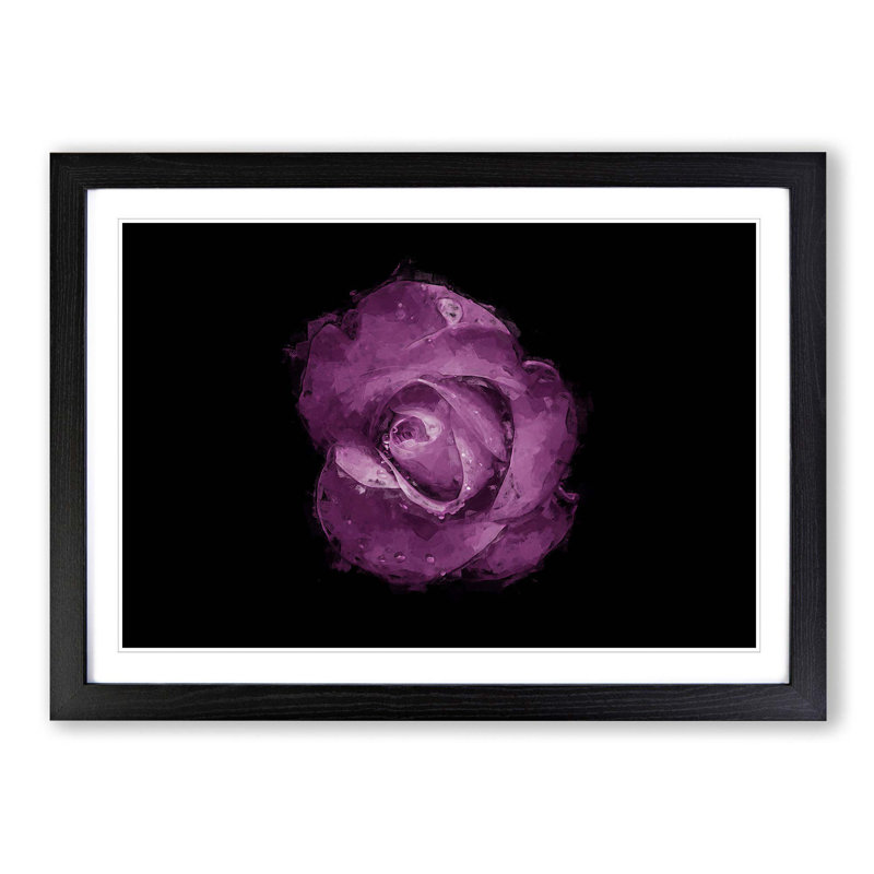 Purple Rose in the Shadows in Abstract - Picture Frame Graphic Art Print, 40cm H x 60cm W x 2cm D, Black