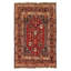 Oriental Area Rug in Rust