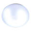 LED Flush Mount