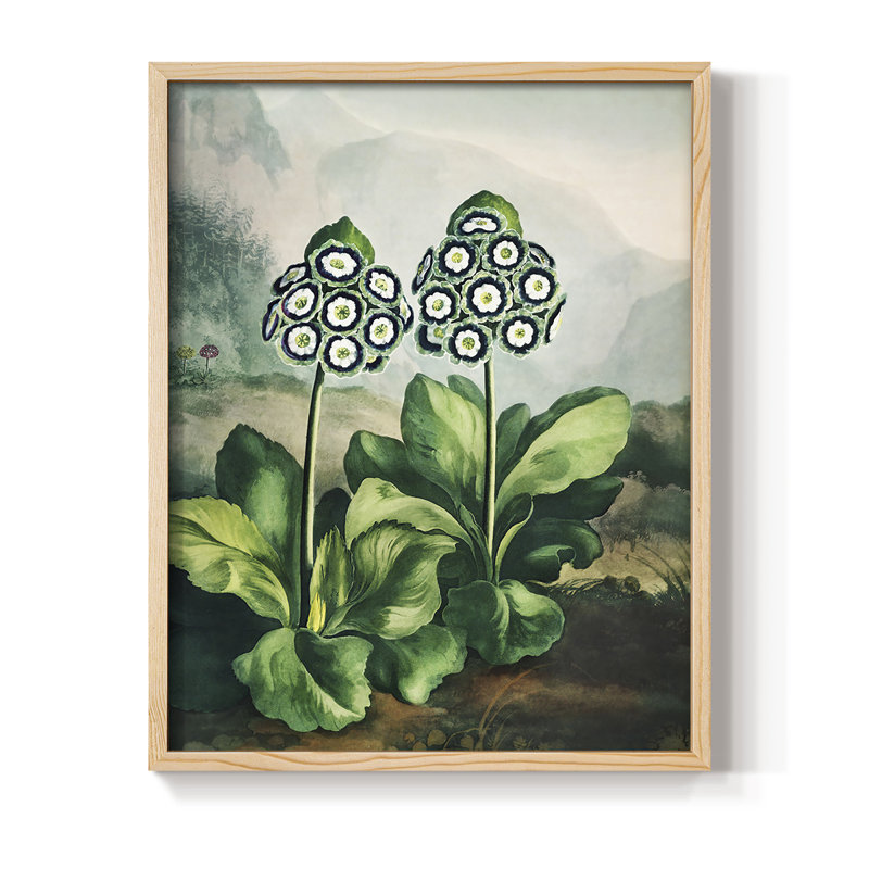 Temple of Flora X, reproduction encadrée - bois massif, H 15 po x l 12 po