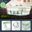 Glass Food Storage Container