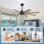 Ventilateur de plafond 8 pales avec télécommande-277424780-320108212