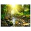 «Mountain Stream in Forest», reproduction de photo sur toile-802859902-802859901