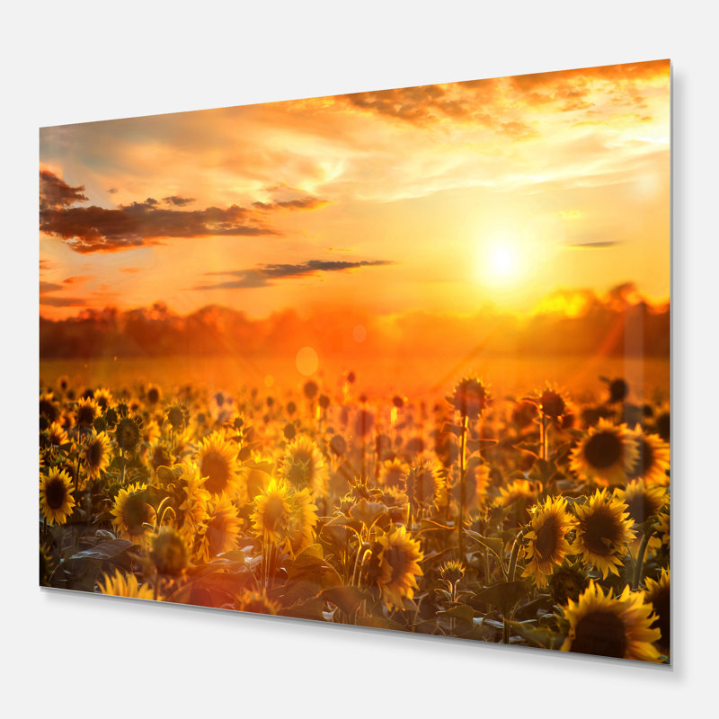 «Yellow Sunset over Sunflowers» - reproduction de photo sur toile tendue, H 30 po x l 40 po x P 1 po, Toile tendue