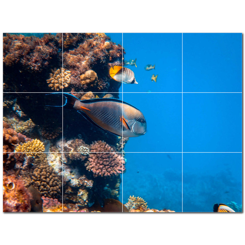 Corail photo 6 x 6