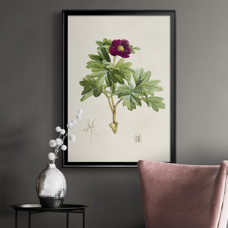 Toile encadrée de qualité «Pretty Pink Botanicals III» - prête à être accrochée, H 24,5 po x l 18,5 po x P 1 po, Noir