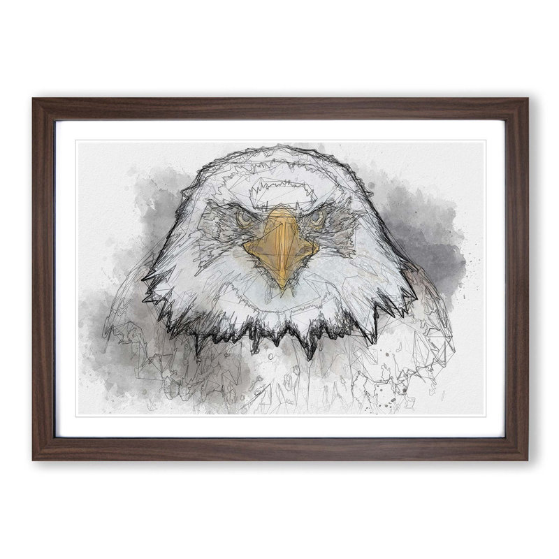 Bald Eagle Bird in Abstract - Picture Frame Graphic Art Print, 36cm H x 48cm W x 2cm D, Walnut Framed