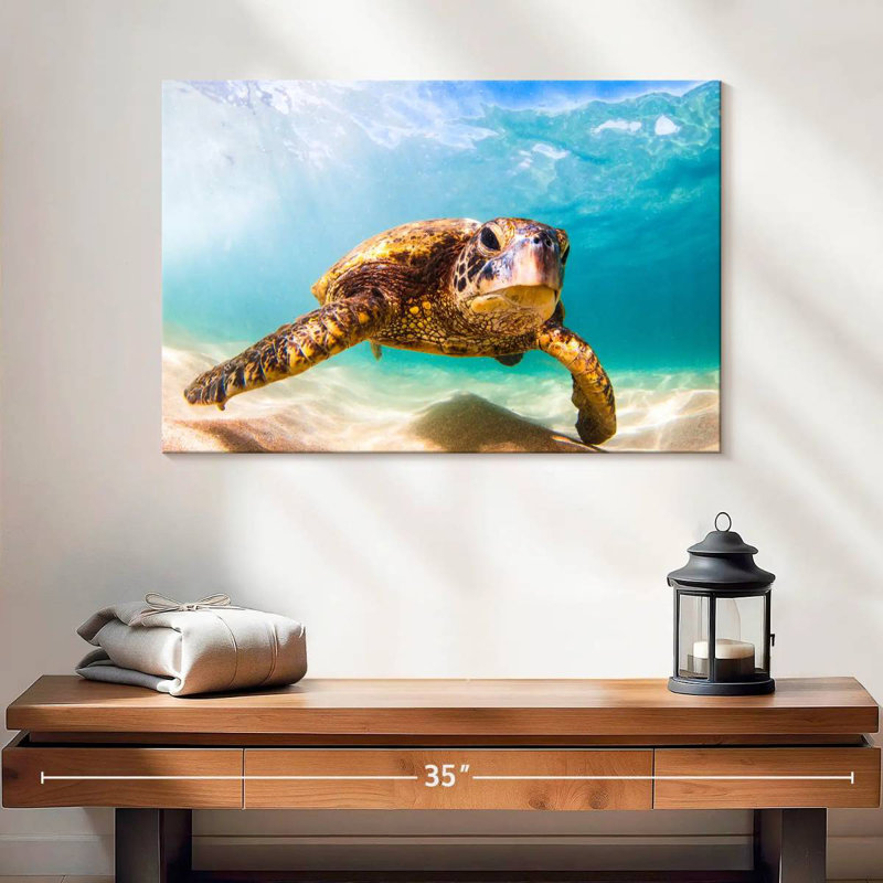Tortue hawaïenne Crowle, H 16 po x l 24 po