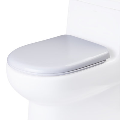 Elongated Toilet Seat
