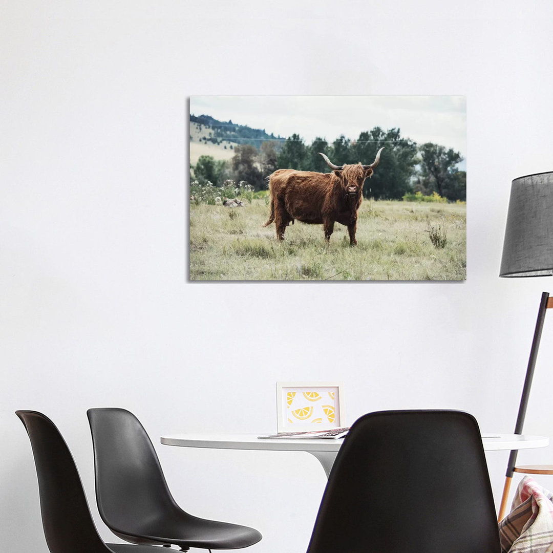 Highlander Cow - Wrapped Canvas Print