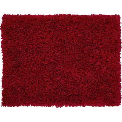 Zalewski Indoor Rug