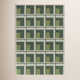 Kamran Green Indoor/Outdoor Rug