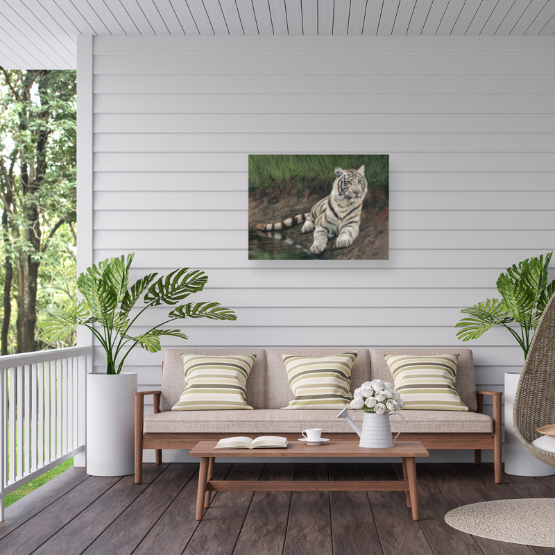 Toile d'extérieur David Stribble White Tiger Cub, H 14 po x l 19 po