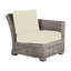 Rustic Patio Lounge Chair with Cushions-1110726972-1172305664-1147648280