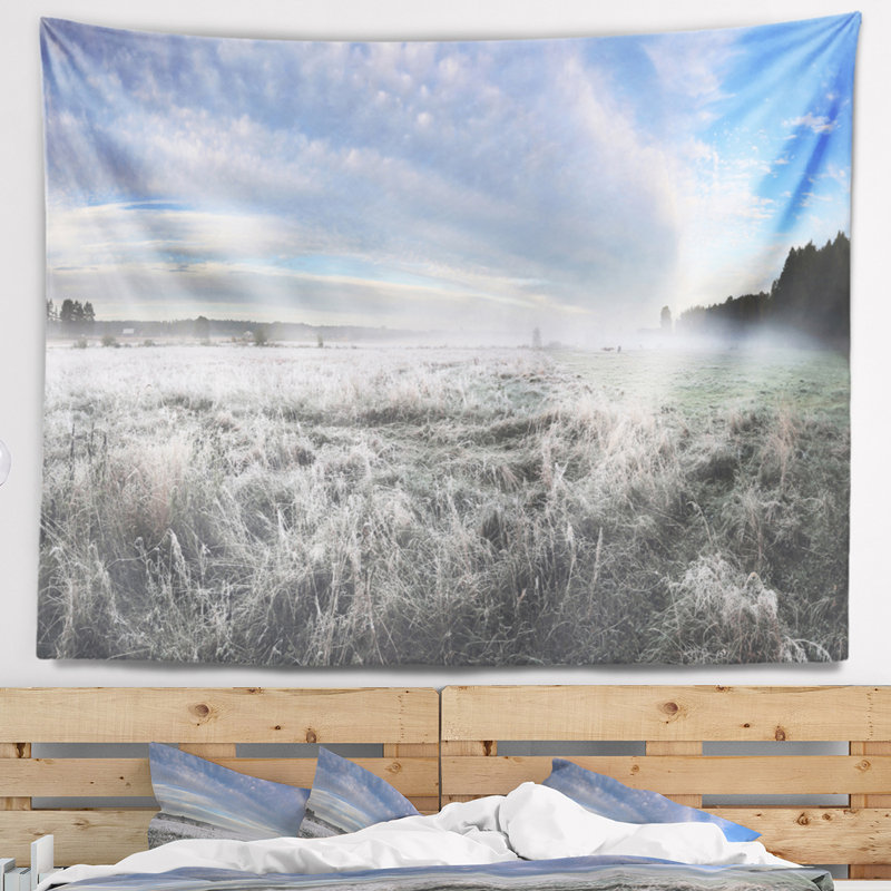 Paysage avec givre sur une pelouse sous un ciel nuageux, H 50 po x l 60 po