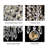 Salley 5-Light 11" Crystal Flush Mount-743534979