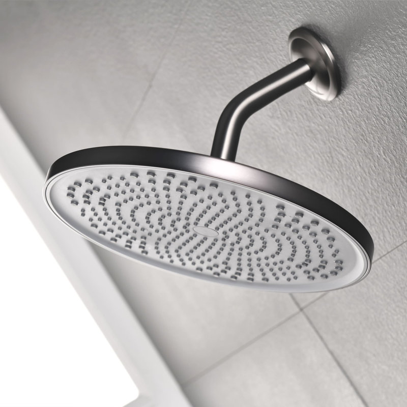 Rain Adjustable Shower Head 1.8 GPM GPM, Gun Gray