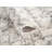 Raschad Indoor Rug-425916933