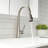 OAKLAND Single Handle Pull Down Kitchen Faucet-101054519