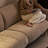 Luxury High-Sense Sofa
