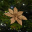 Angelicque Polyethylene (PE) Poinsettia Arrangement-295028127
