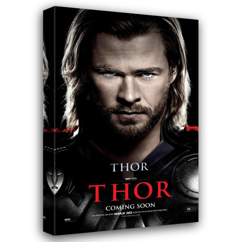 Thor, H 24 po x l 15 po