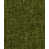 Dark Green/Moss