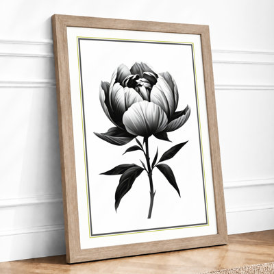 Peony Study Botanical - Framed Print