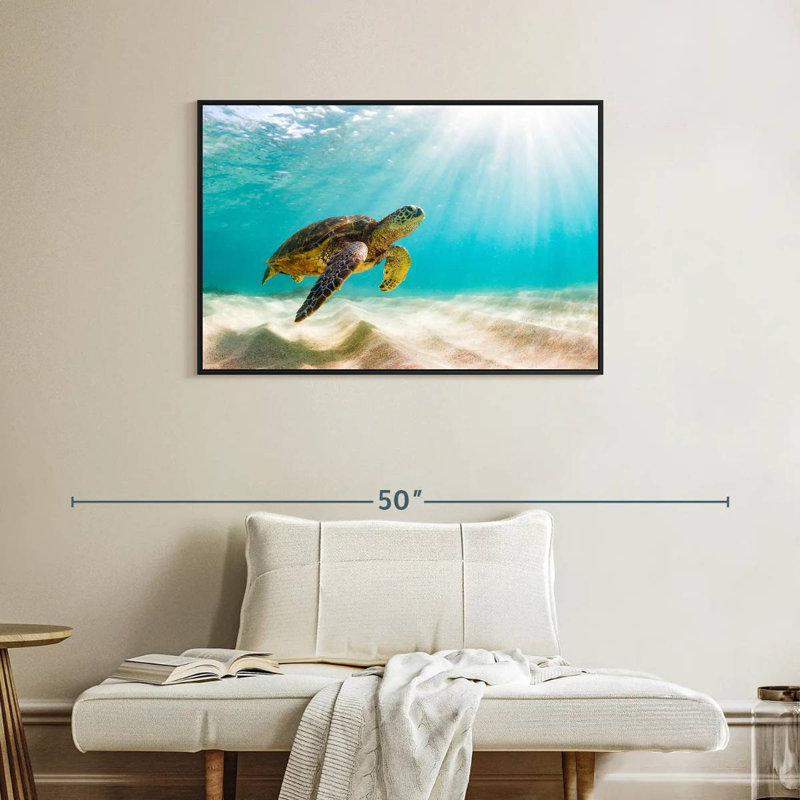 Tortue verte hawaïenne, Cadre flottant noir, 37 po x 25 po