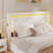LED Adjustable Velvet Upholstered Headboard Bed Frame With 4 Storage Drawers And USB Ports-409339810-409645850