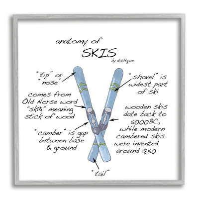 Anatomie des skis, sports d'hiver, graphique des faits, estampe numérique, art texturé par vaisselle