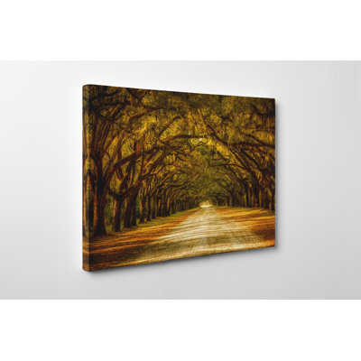 Wrapped Canvas Print
