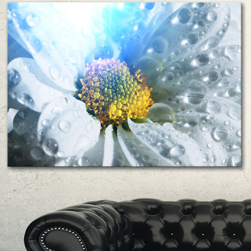 « large fleur blanche avec raindrops », impression sur toile tendue, H 30 po x l 40 po