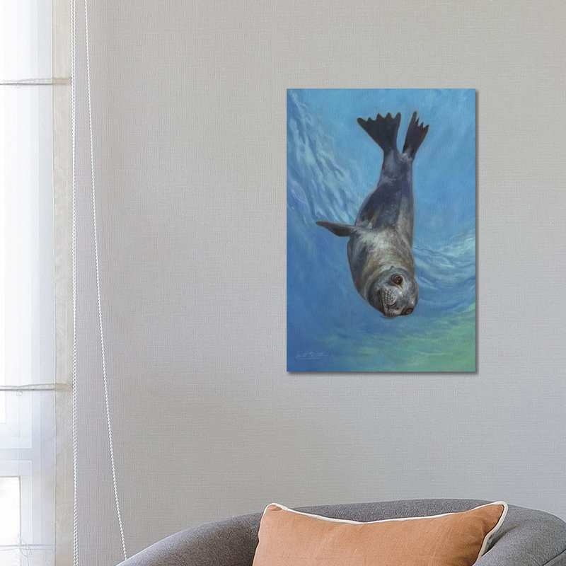 Sea Lion, Sea Of Cortez by David Stribbling - Wrapped Canvas Painting, 66.04 cm H x 45.72 cm W x 3.175 cm D