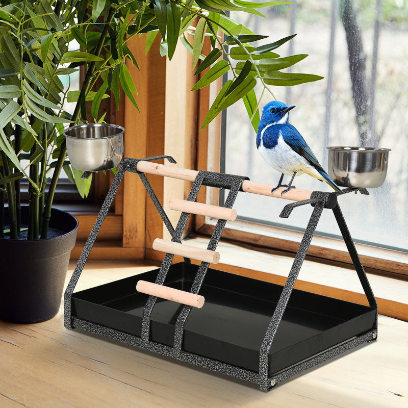 Support de jeu en bois pour oiseau 10,75 po pour plateau de table, Noir